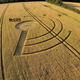 Image for article titled The Most Astonishing Crop Circle Artworks of 2014